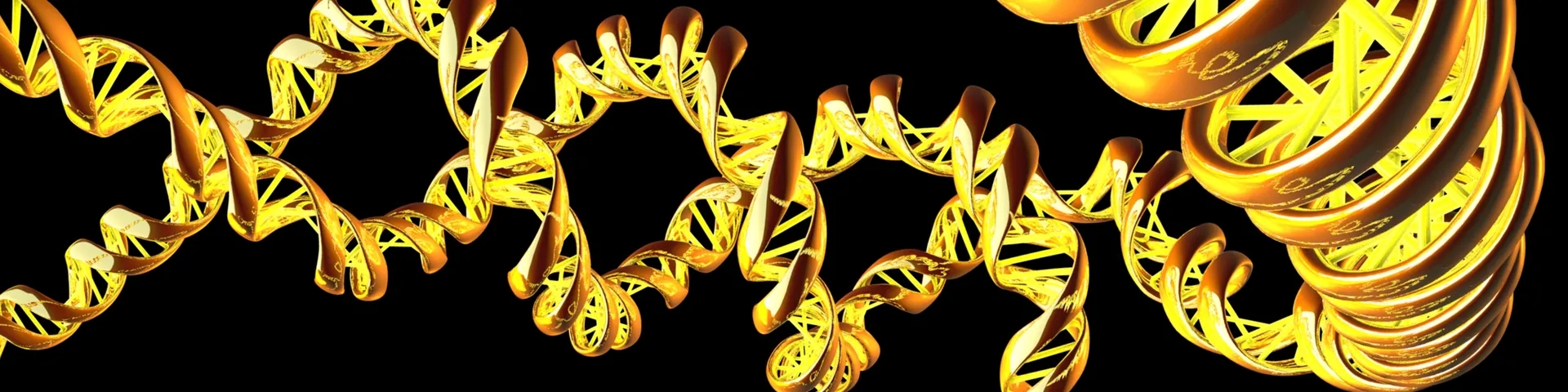 A new twist: the molecular machines that loop our chromosomes also twist DNA