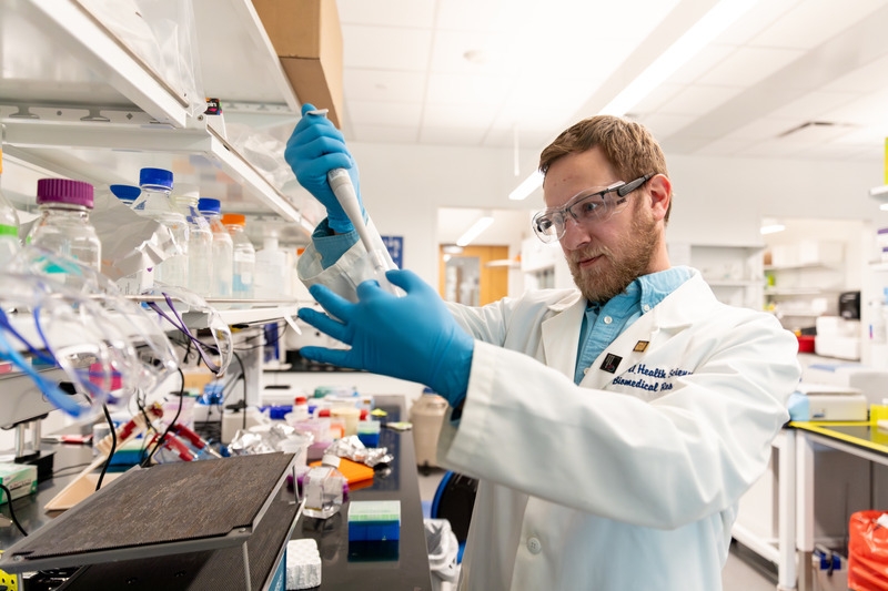Decoding fat tissue