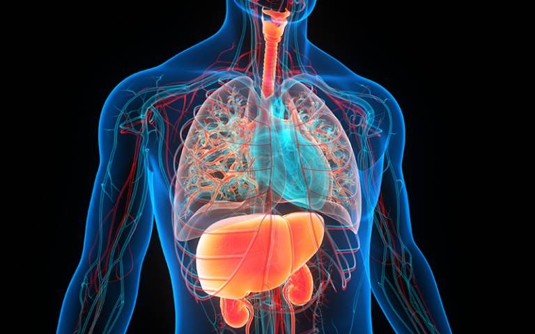 Biological organ ages predict disease risk decades in advance