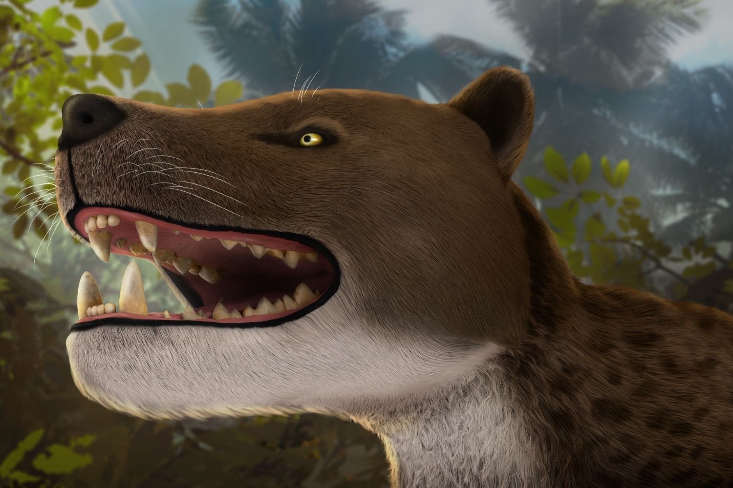 Near-Complete Skull Discovery Reveals ‘Top Apex’, Leopard-Sized “Fearsome” Carnivore