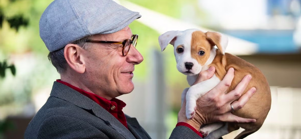 Think you understand your dog? Don't be so sure