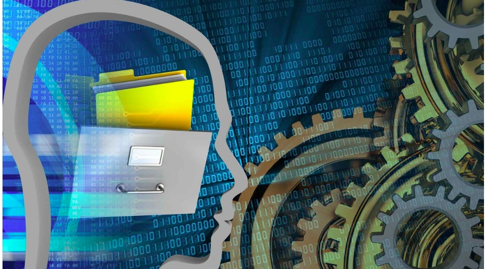 Brown University researchers show how humans learn to optimize working memory