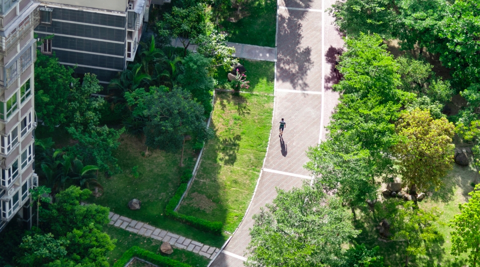 Uncovering dementia’s environmental triggers