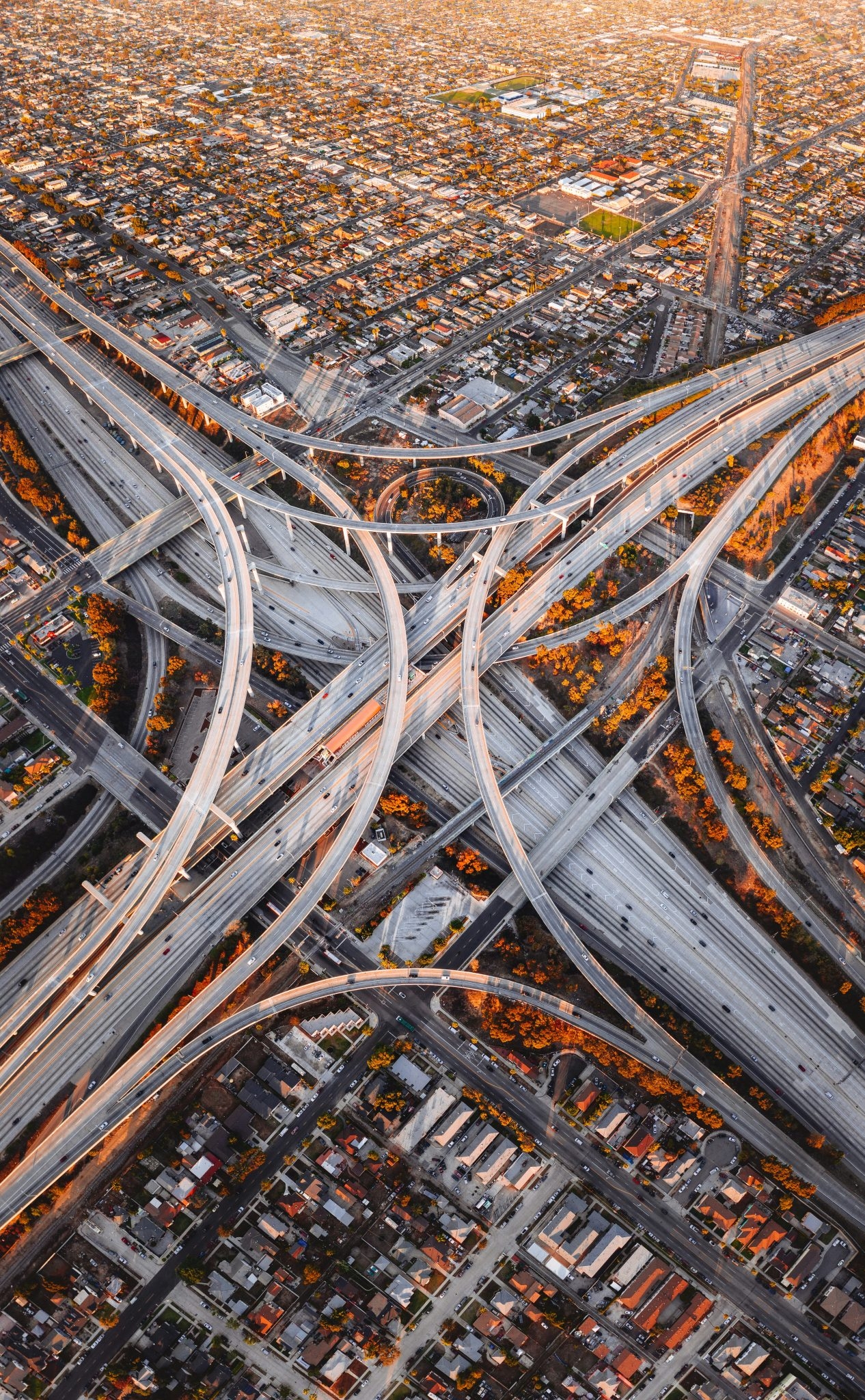 Urban Highways Cut Opportunities for Social Relationships, Says Study