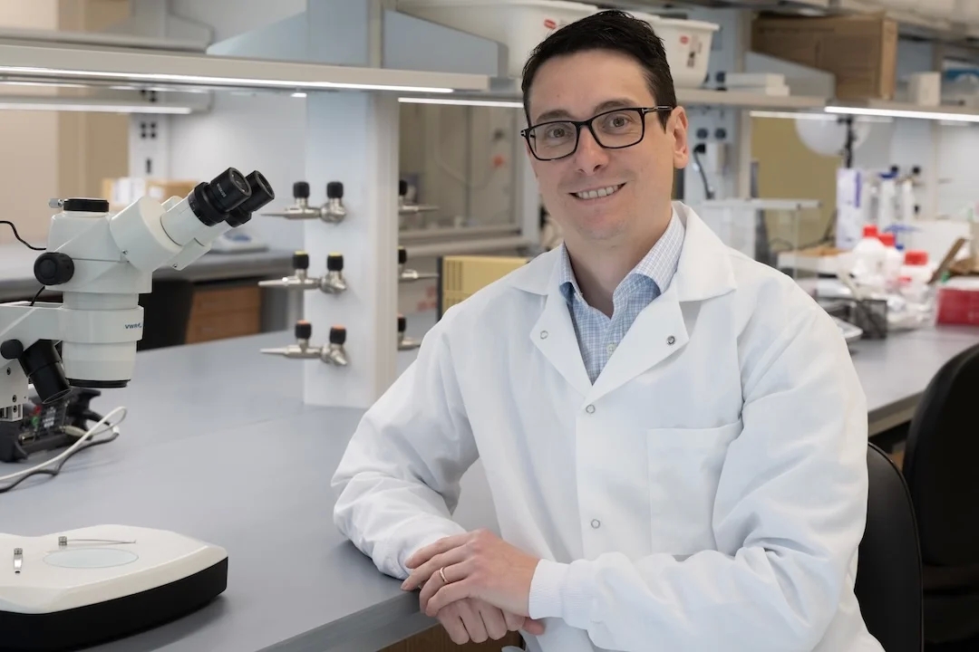 Chance discovery improves stability of bioelectronic material used in medical implants, computing and biosensors