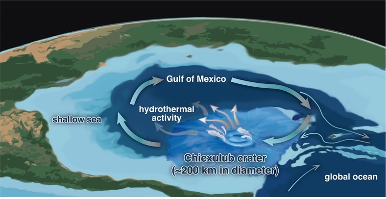Life Recovered Rapidly at Site of Dino-Killing Asteroid. A Hydrothermal System May Have Helped.