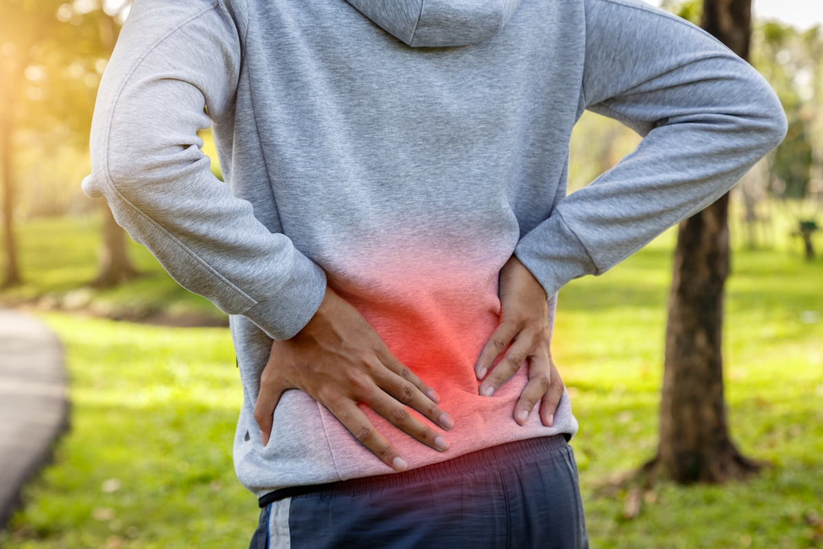 Drugs targeting ‘zombie cells’ show promise for treating chronic back pain