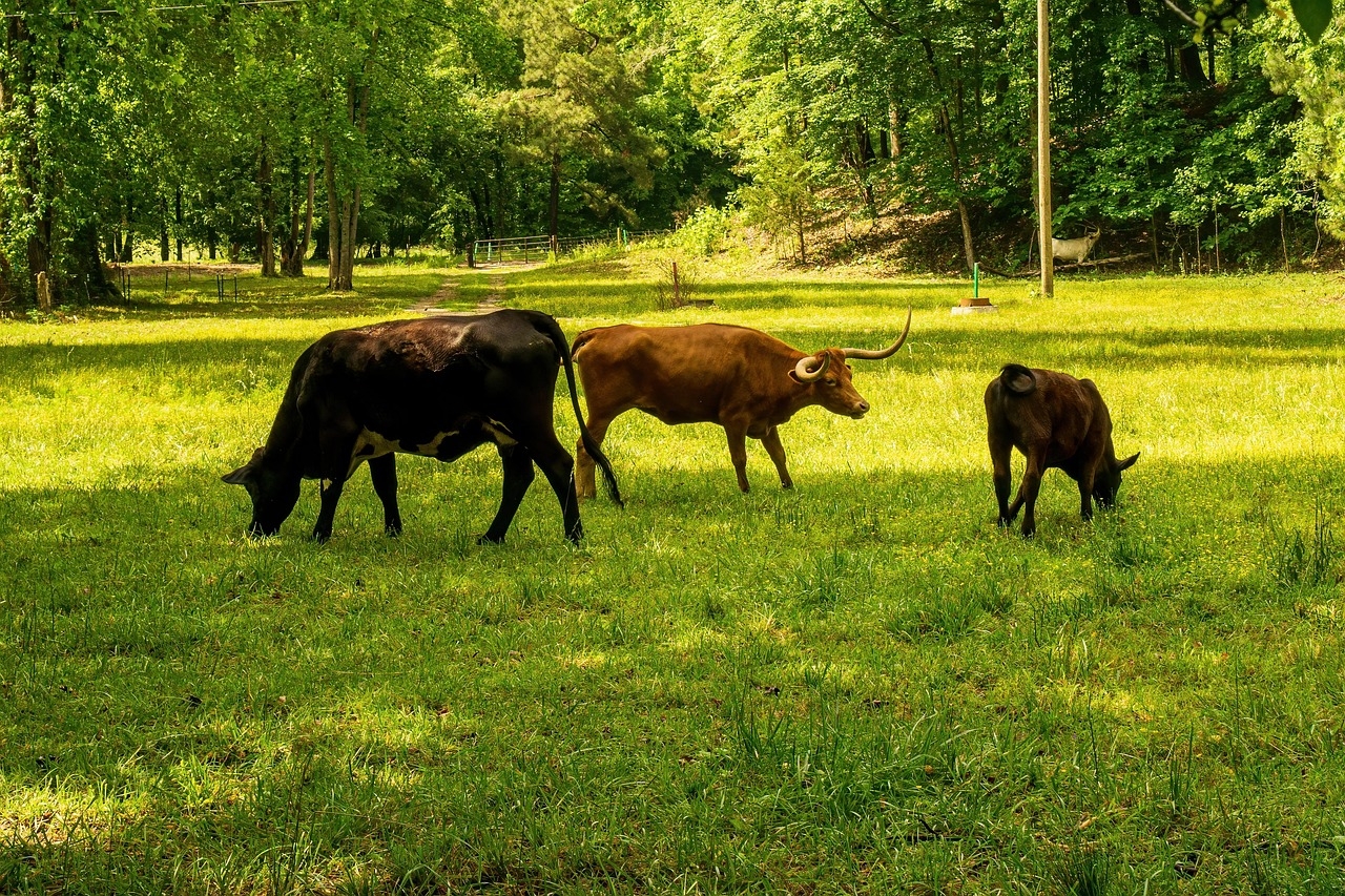 Hotter Temps Trigger Wetlands To Emit More Methane as Microbes Struggle To Keep Up
