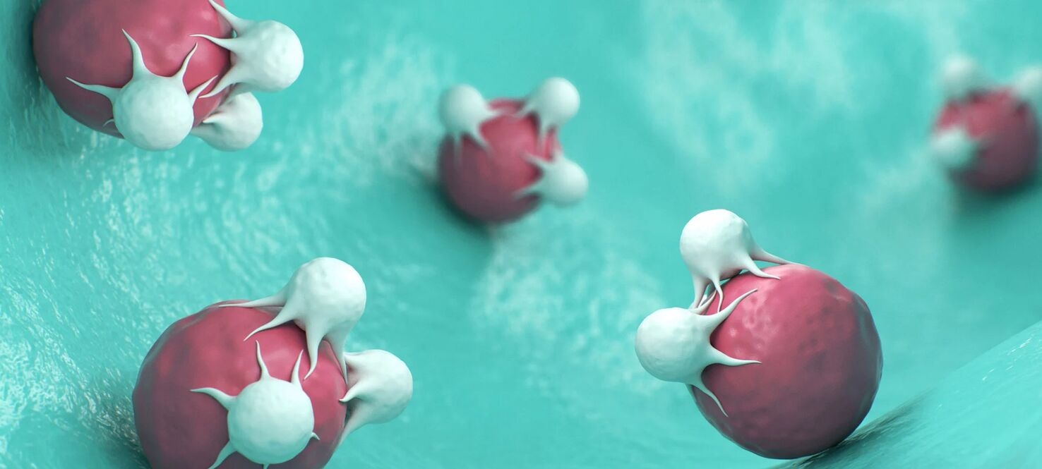 Moffitt Study Shows New Immune Boost Could Expand Access to Cancer Immunotherapy