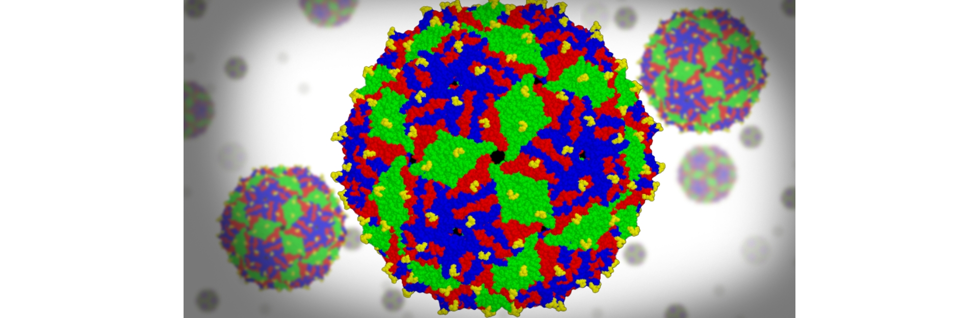 UNM Researchers Plan Clinical Trials to Test Vaccine Against Alzheimer’s-Promoting Tau Protein