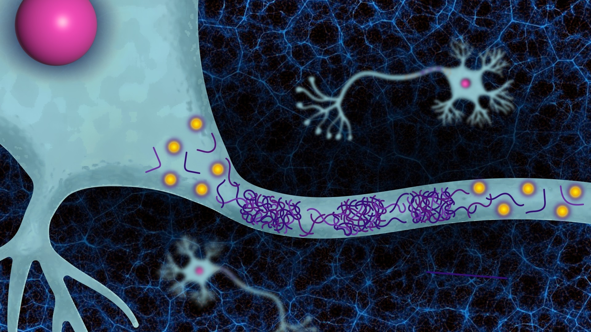 ATP prevents harmful aggregation of proteins associated with Parkinson’s and ALS