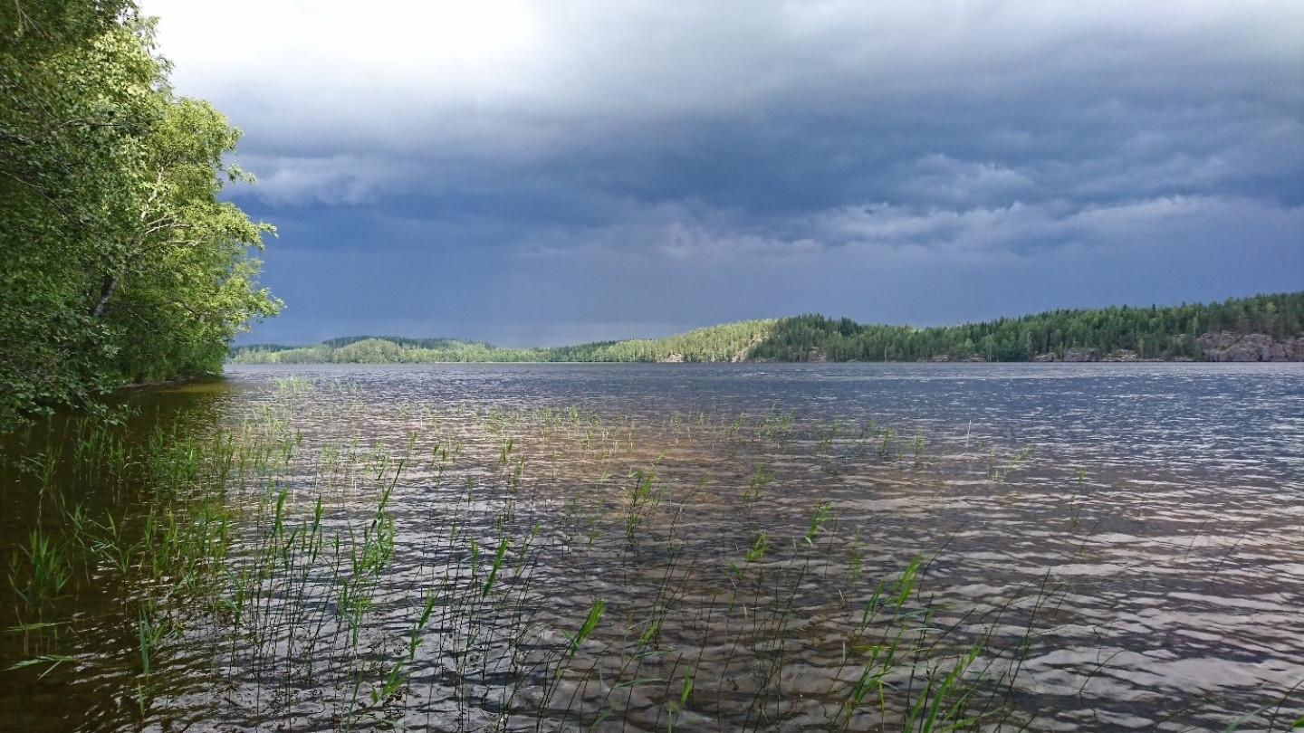Land-use drives energy dynamics of boreal lake food webs