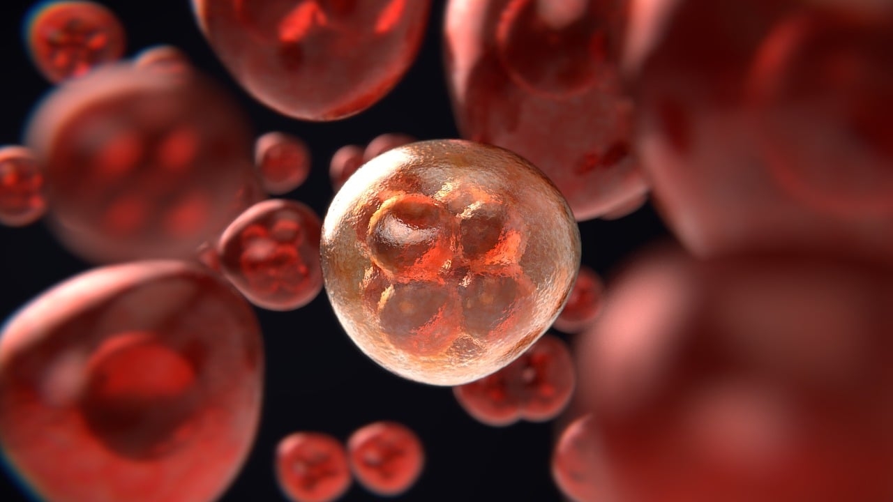 Study sheds light on how inherited cancer mutations drive tumor growth