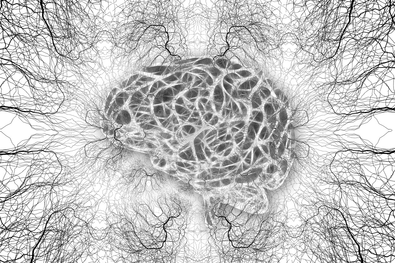 Mapping the Connections Between the Brain’s Structure and Function