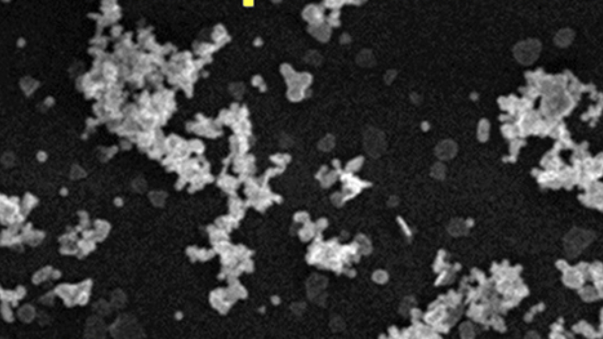 We Know Nanoplastics Are a Threat—This New Tool Can Help Us Figure Out Just How Bad They Are