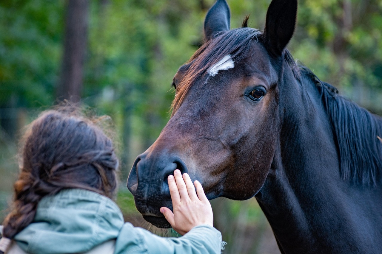 Nontraditional risk factors shed light on unexplained strokes in adults younger than 50