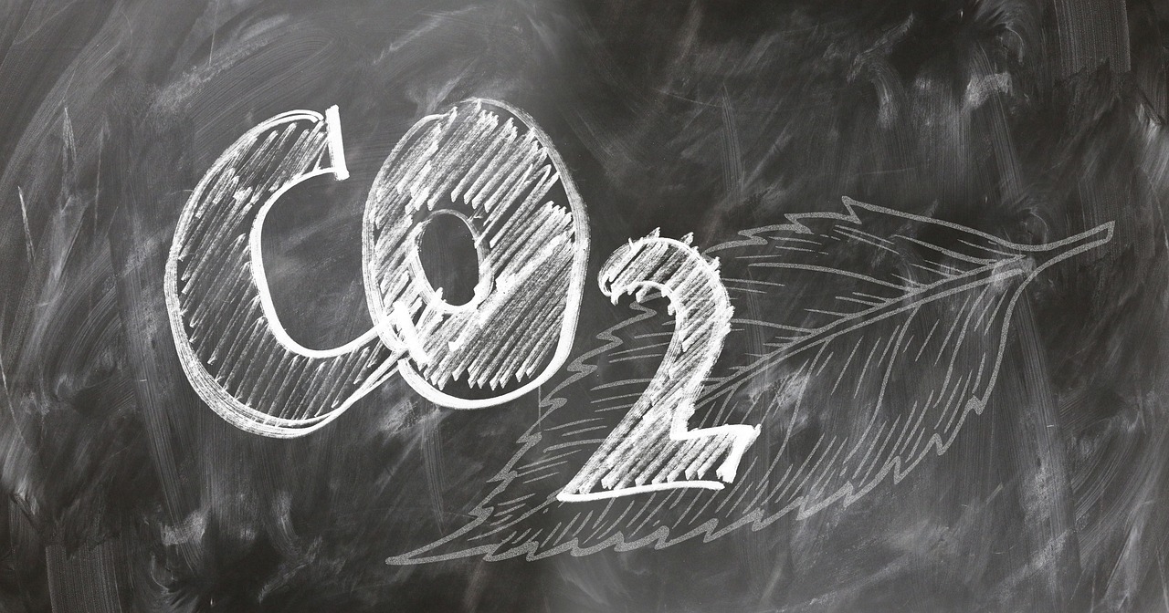 Some of your AI prompts could cause 50 times more CO2 emissions than others