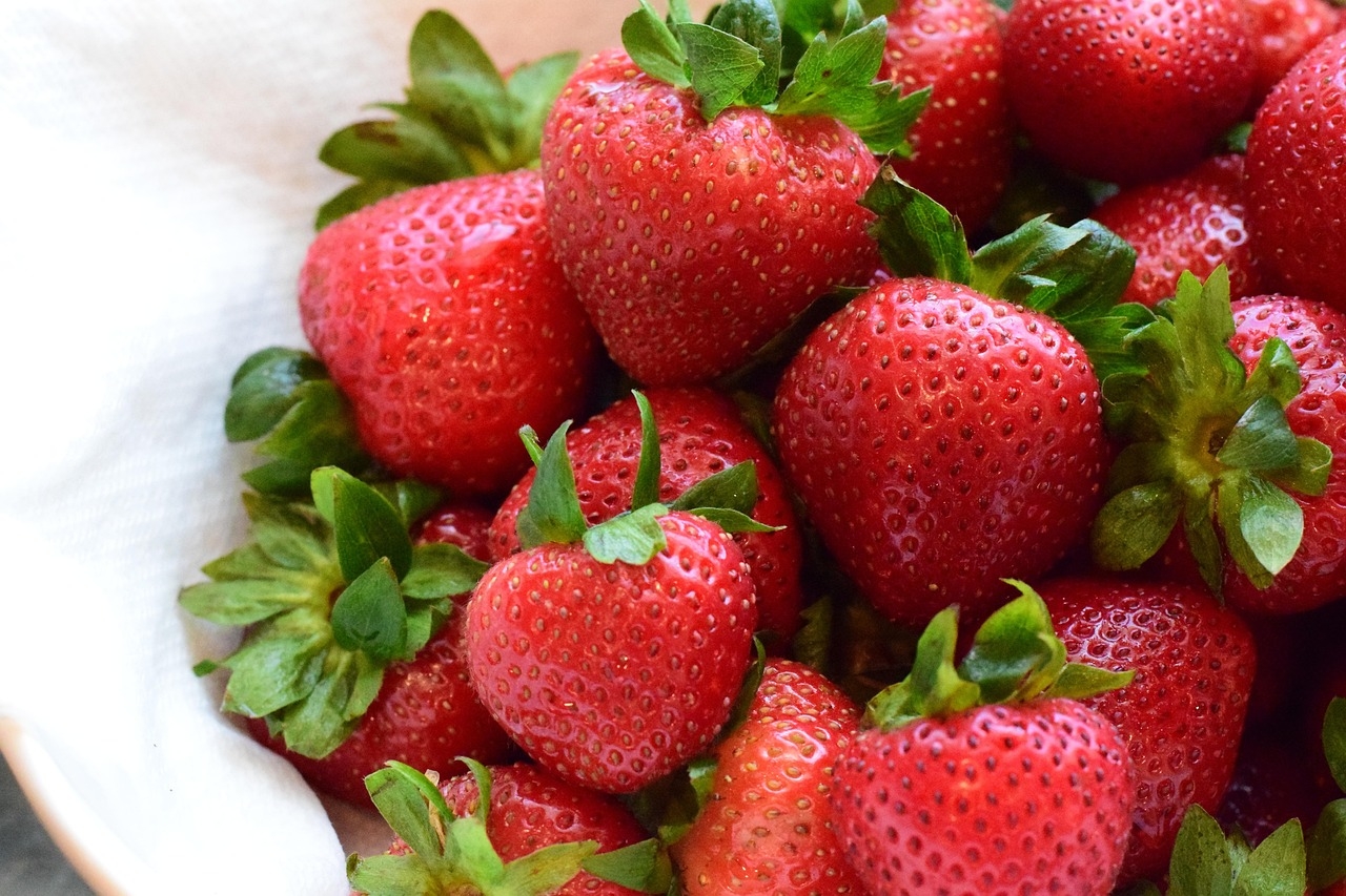 Omnivorous? Vegan? Makes no difference to muscle building after weight training, study finds