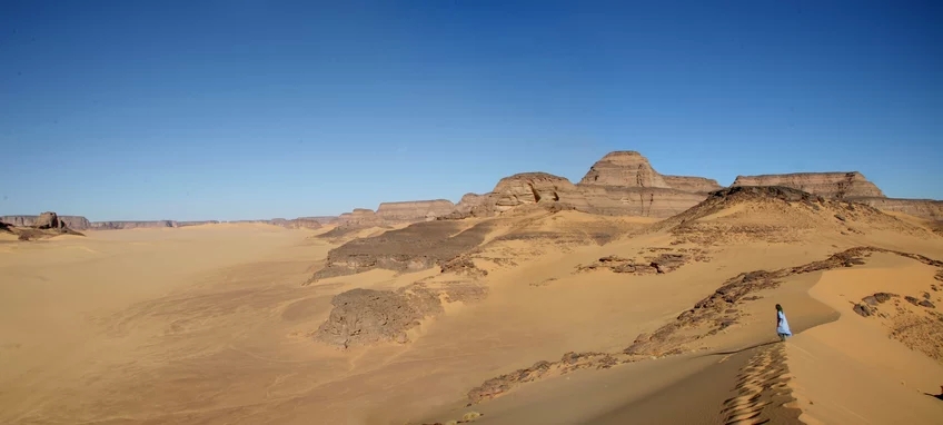First ancient genomes from the Green Sahara deciphered