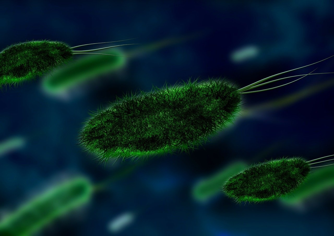 Machine learning helps construct an evolutionary timeline of bacteria