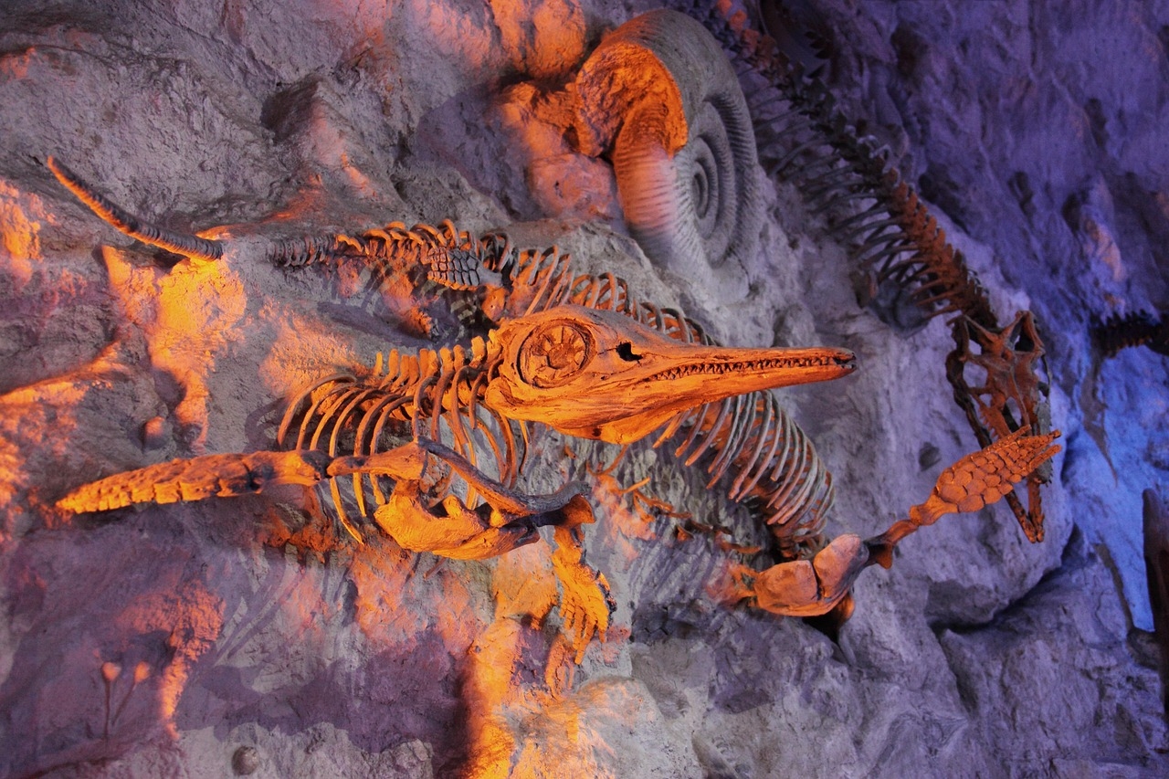 Prehistoric bone tool ‘factory’ hints at early development of abstract reasoning in human ancestors