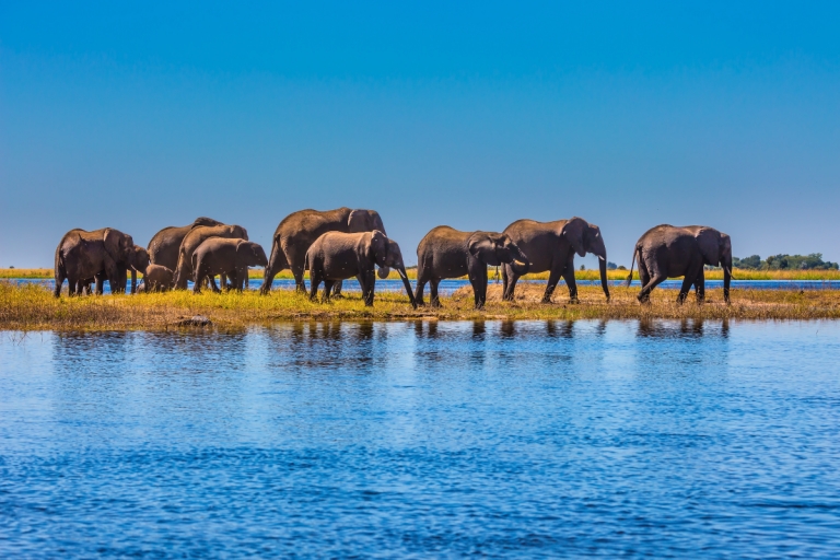 How Activity in Earth’s Mantle Led the Ancient Ancestors of Elephants, Giraffes, and Humans into Asia and Africa