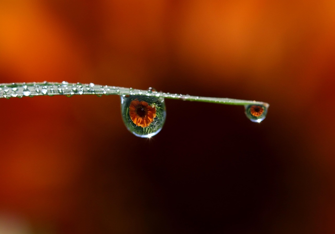 ‘Microlightning’ in water droplets may have sparked life on Earth