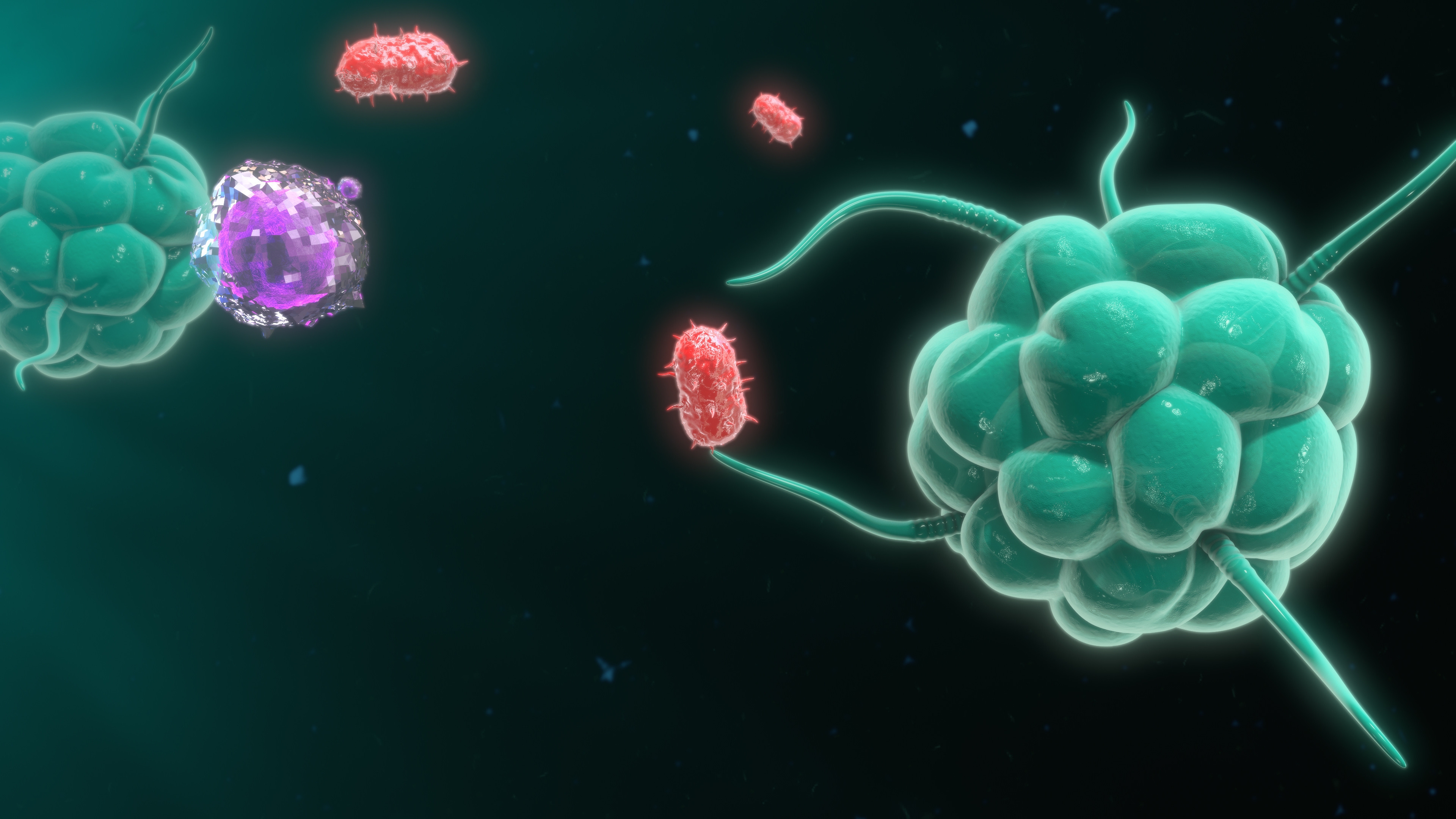 Bacteria Consumed by Immune Cells Become Part of the Cell