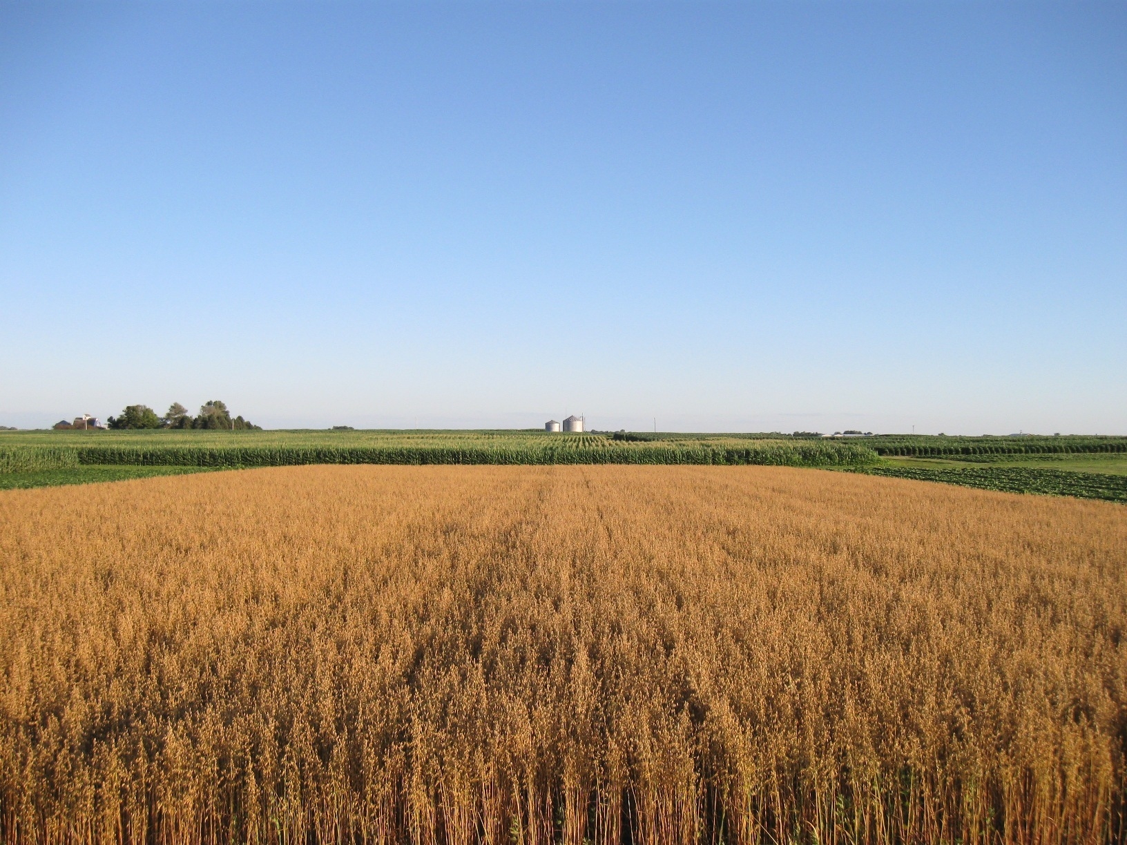 Diversified cropping systems boost nitrogen supply but not soil carbon, study finds