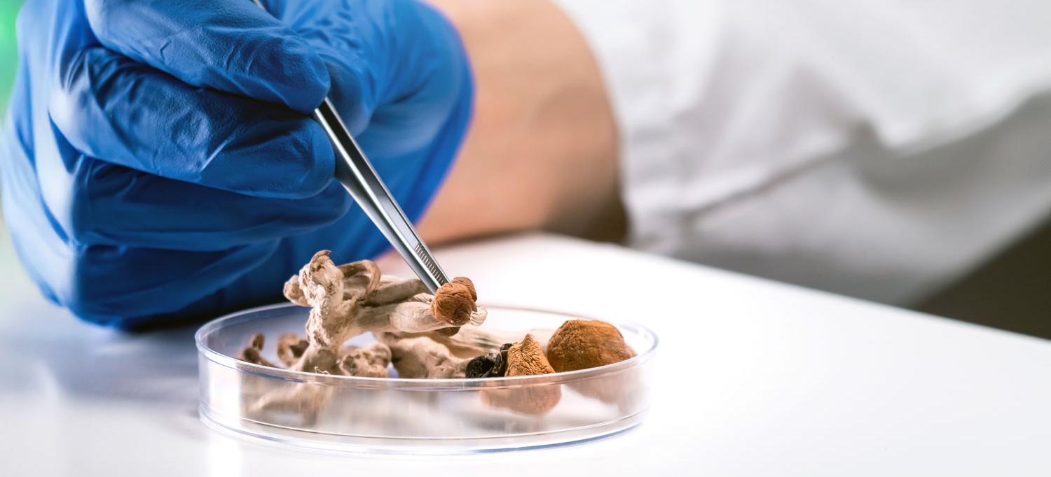 Psychedelic Drug Therapy May Address Mental Health Concerns in People with Cancer & Addiction