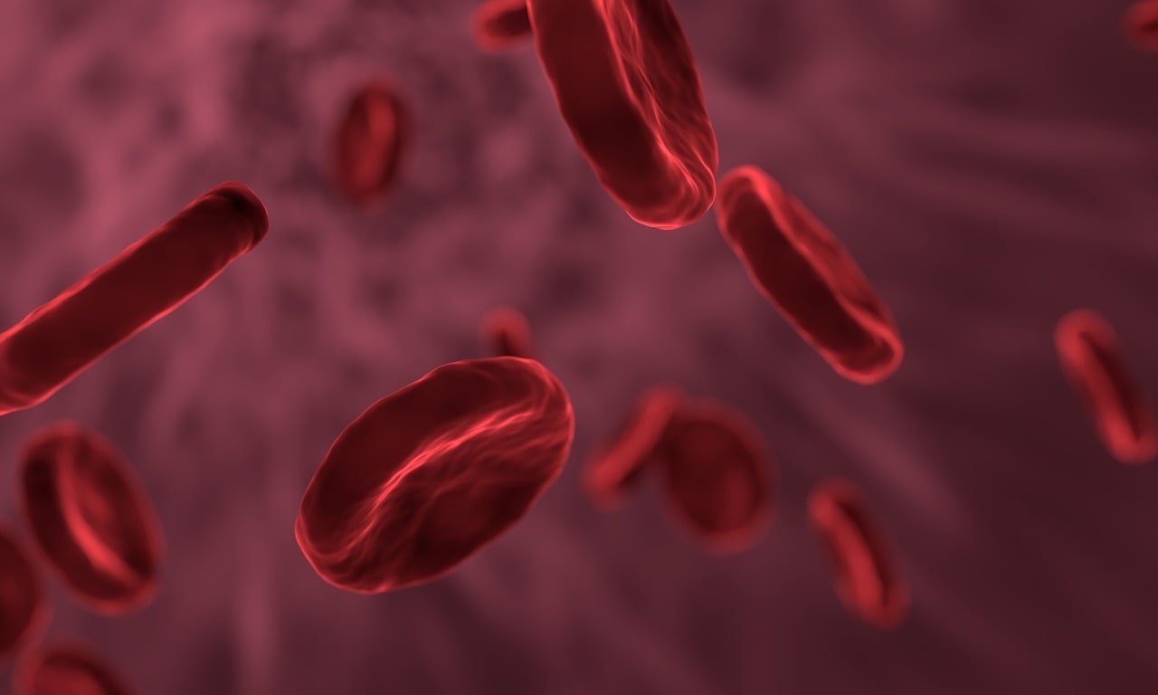 Plant cells gain immune capabilities when it’s time to fight disease