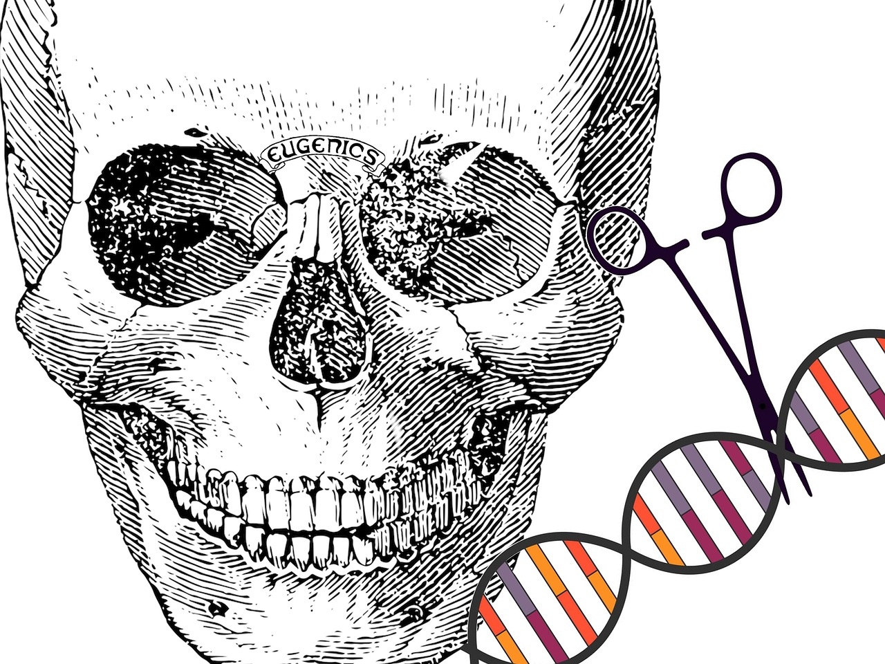 HIRI researchers provide new insights into gene regulation of the virus that causes AIDS