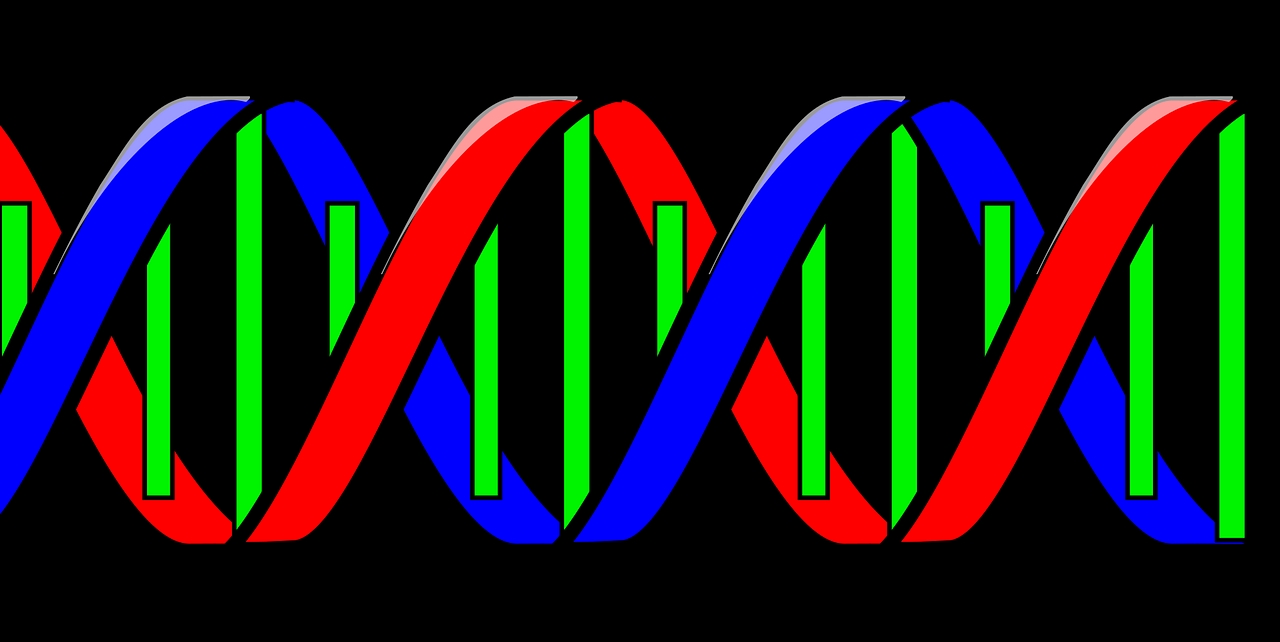RNA research: Ribozyme structure revealed