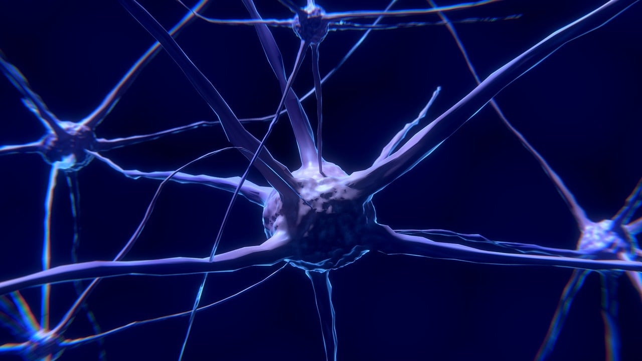 To remember conversations, keep making new brain cells