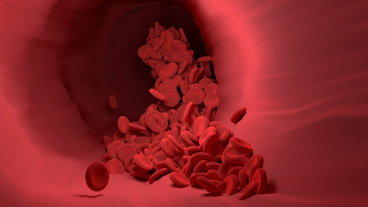 Histone modification important for correct blood cell formation
