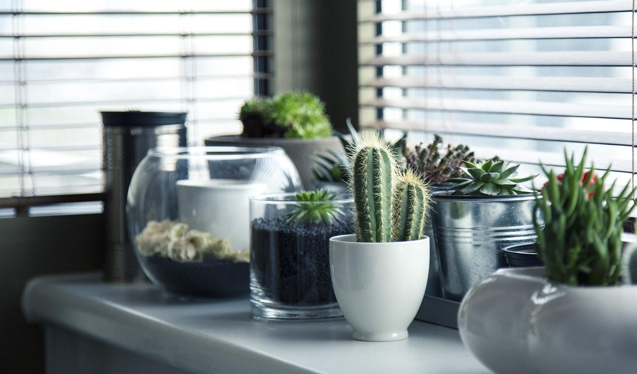 Binghamton researchers develop artificial plants that purify indoor air, generate electricity