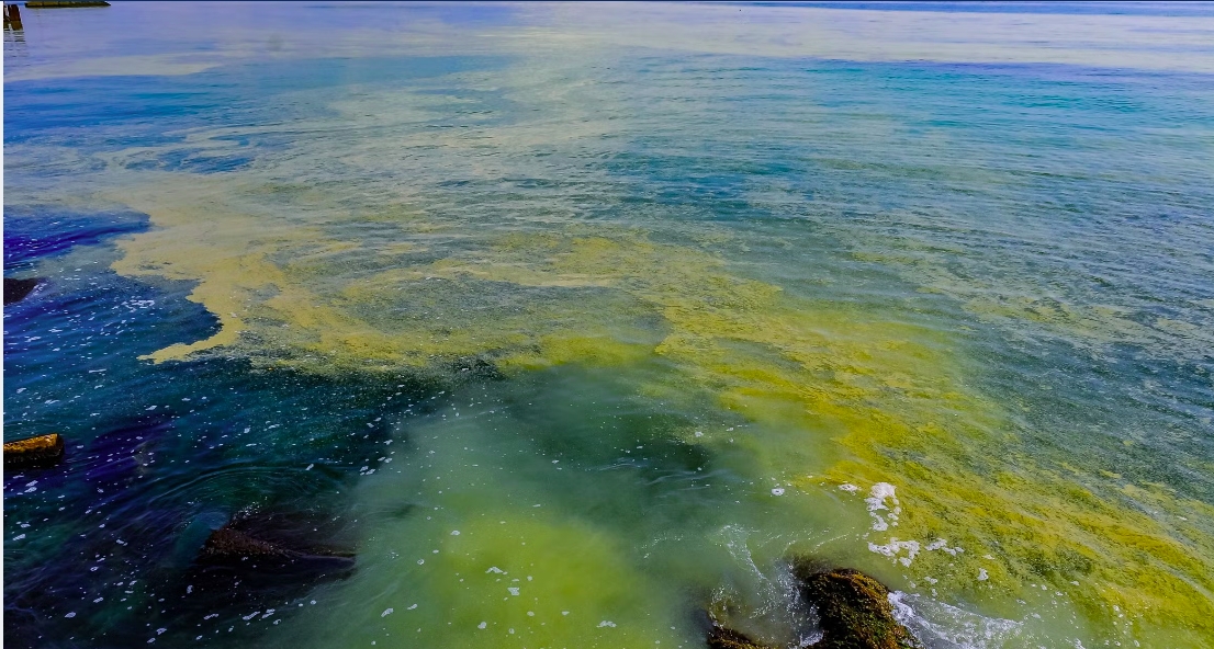 Human impact on the ocean will double by 2050, UCSB scientists warn