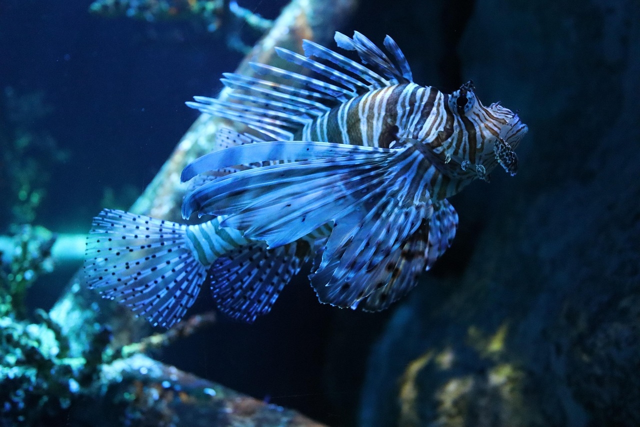 Ocean warming puts vital marine microbe at risk