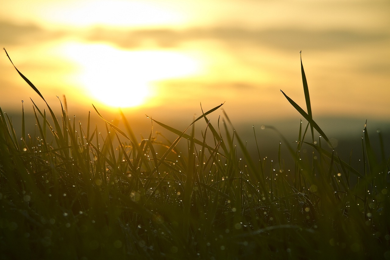 Scientists pioneer a new way to turn sunlight into fuel