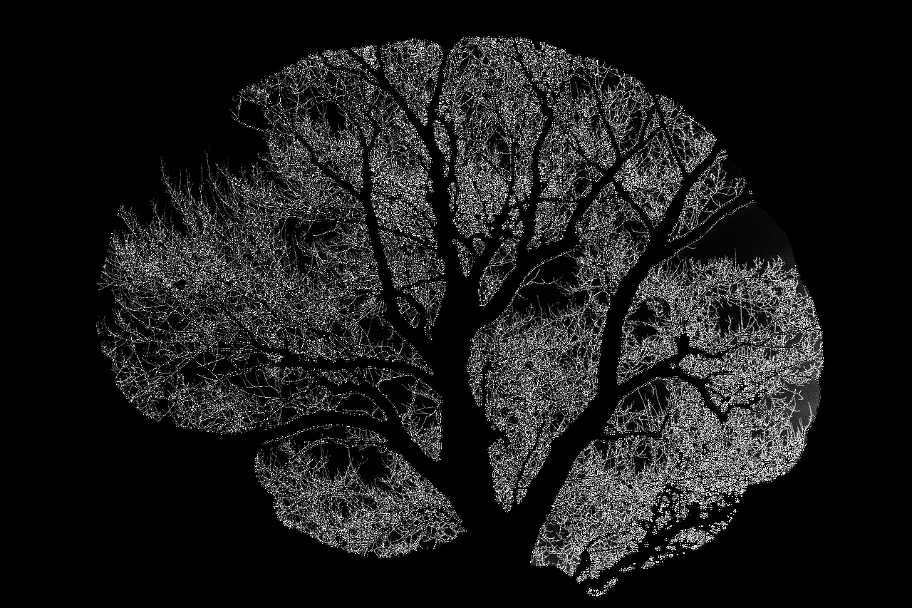 Predicting where a deadly brain cancer might go next
