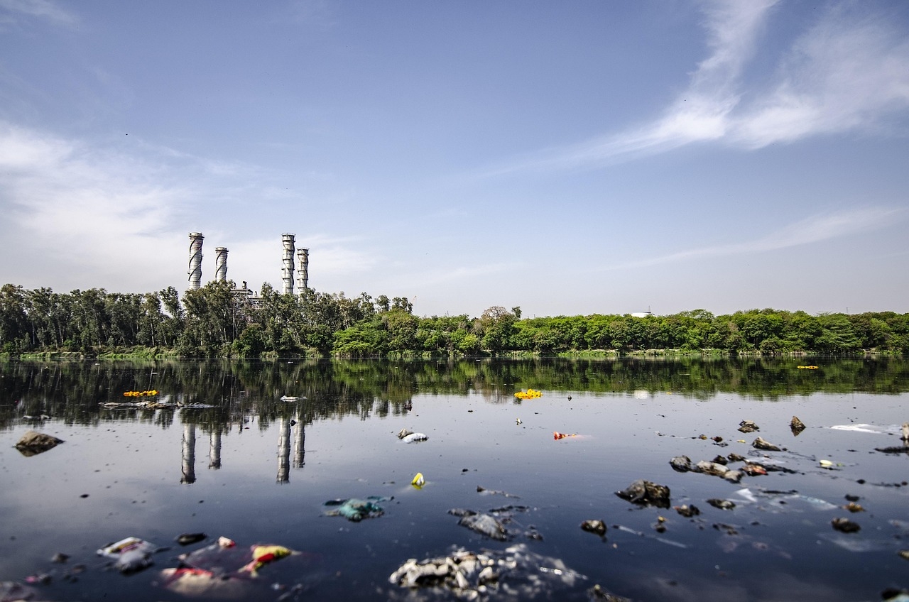 Decades-Old Barrels of Industrial Waste Still Impacting Ocean Floor Off LA